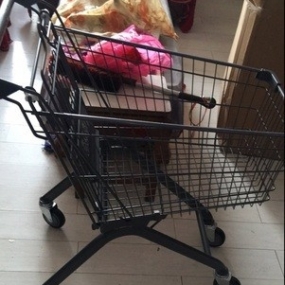 購物籃購物車